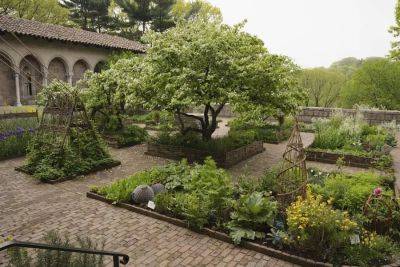 Medieval herbs for today’s gardens, with the cloisters’ carly still - awaytogarden.com - Usa - New York