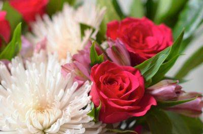 What are the best occasions to give flowers? - growingfamily.co.uk