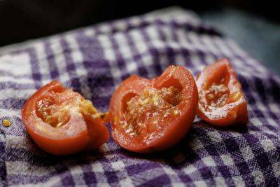 How To Save Tomato Seeds So You Can Plant Them Next Year - southernliving.com