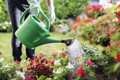 5 Signs You’re Overwatering Your Plants—Plus How To Fix It - southernliving.com