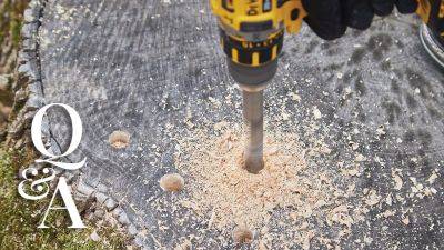 How Can I Get a Stump to Rot Quickly? - gardengatemagazine.com