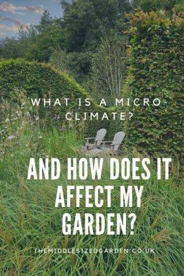 Right plant, wrong place? How to create your ideal garden micro-climate - themiddlesizedgarden.co.uk