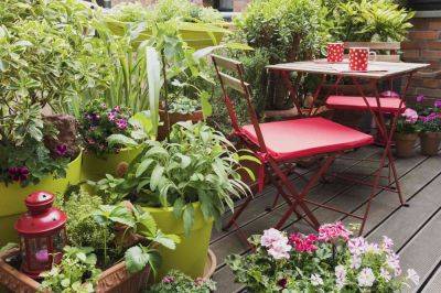 16 of the Best Low-Maintenance Outdoor Potted Plants to Transform Your Space - treehugger.com