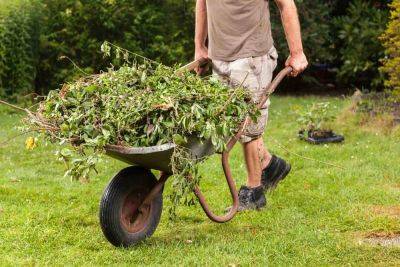 What is green waste? A guide to different types - growingfamily.co.uk