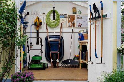 6 Things in Your Shed You Should Throw Away Right Now - thespruce.com