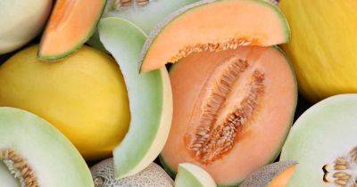 33 of the Best Melon Varieties - gardenerspath.com - state Hawaii