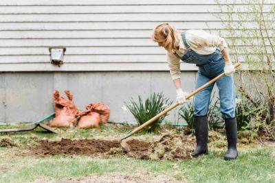 Hiring a professional landscaper: is it worth it? - growingfamily.co.uk