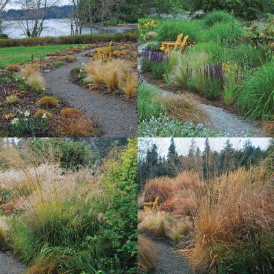 Get Four-Season Interest Using Ornamental Grasses in the Landscape - finegardening.com - Washington