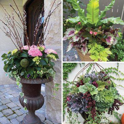 Acccessorizing the Landscape with Seasonal Containers - finegardening.com - city Chicago