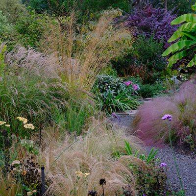 Build a Four-Season, Grass-Forward Garden: Plant IDs - finegardening.com - Washington