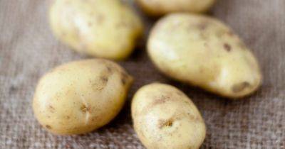 Potato Types Explained - gardenersworld.com - Britain