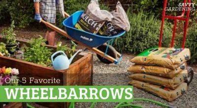 Our Favorite Wheelbarrows for All Kinds of Garden Projects - savvygardening.com