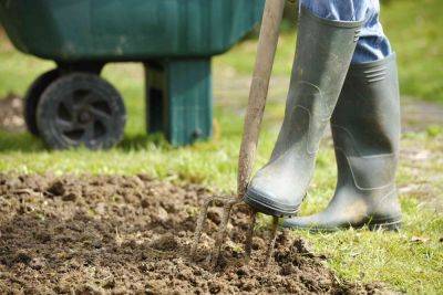 11 End-of-Summer Gardening Mistakes Experts Want You to Avoid - thespruce.com