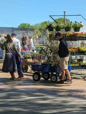 Fall 2024 South Carolina Botanical Garden Plant Sale - hgic.clemson.edu - state South Carolina - county Garden