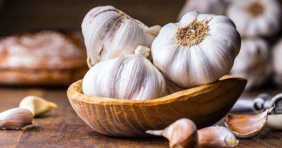 Can You Grow Garlic From Seed? - gardenerspath.com