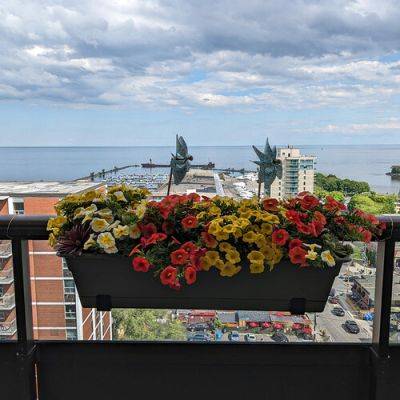 Katherine’s Balcony Garden on Lake Ontario - finegardening.com - Switzerland - county Lake