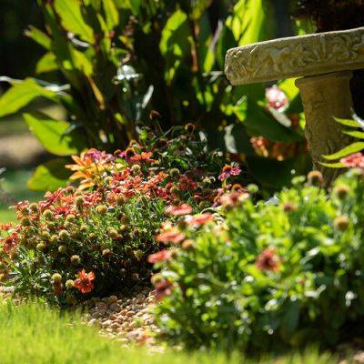 Betty’s Tropical Front Yard Garden - finegardening.com - state Florida - county Garden