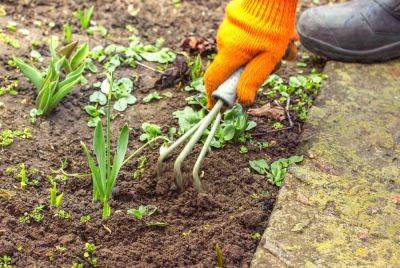 8 Garden Maintenance Tasks To Complete This Fall Before Winter Weather Arrives - southernliving.com - city Seattle