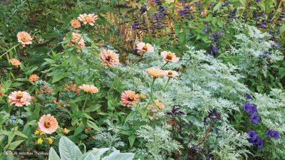 A Softer Palette for Fall Flower Beds - gardengatemagazine.com