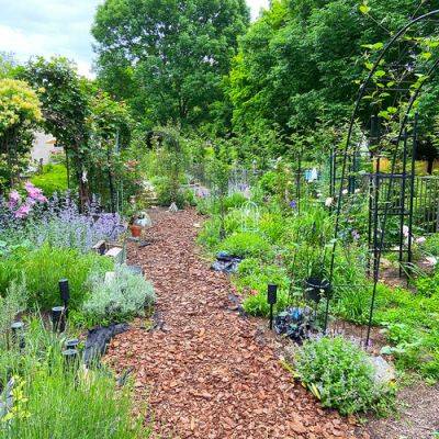 Dot’s Three-Year-Old Garden in Philadelphia - finegardening.com - county Garden