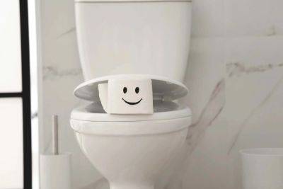 Feeling down? These toilet puns will lift your spirits - growingfamily.co.uk