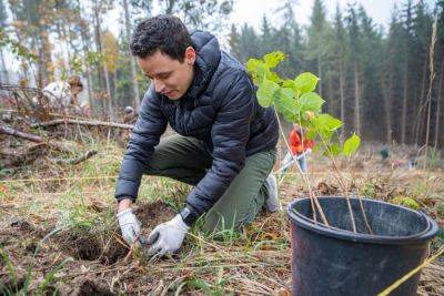 Help the GardenAdvice Young Gardeners Tree Project - gardenadvice.co.uk - Britain