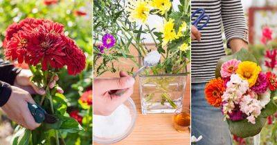 How To Keep Cut Flowers Fresh Longer: 9 Pro Tips - balconygardenweb.com