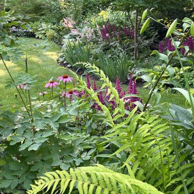 Color Coordinating in Susan’s Front Garden - finegardening.com