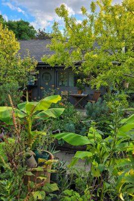 Eco-friendly garden design – what you need to know before you spend money - themiddlesizedgarden.co.uk